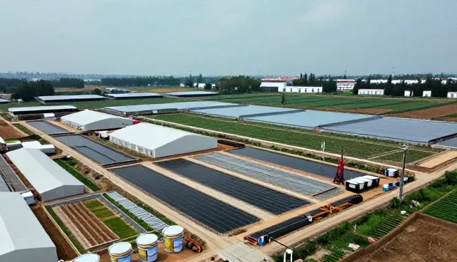 防水涂料施工后维护建议与使用条件分析